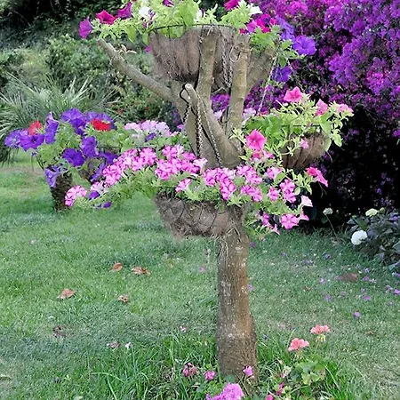 Quinta O Refugio * Sao Vicente (Madeira)