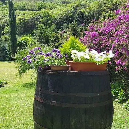 Quinta O Refugio Chalet