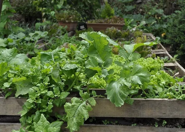 Quinta O Refugio Chalet *