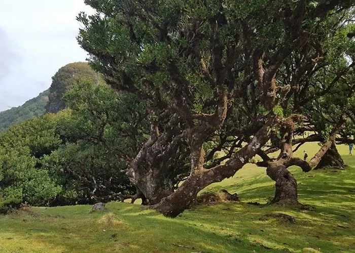 Domek alpejski Quinta O Refugio *
