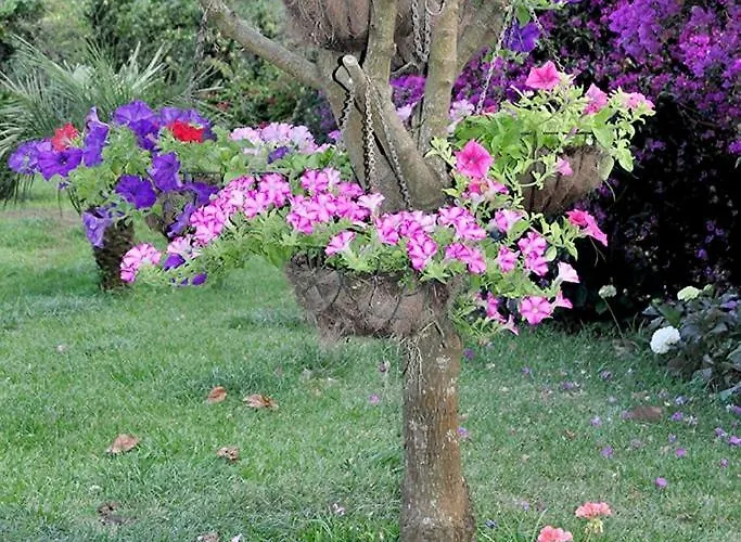 Quinta O Refugio * Sao Vicente (Madeira)