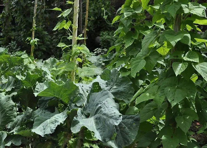 Quinta O Refugio Domek alpejski *