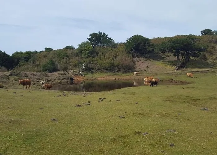 Domek alpejski Quinta O Refugio *